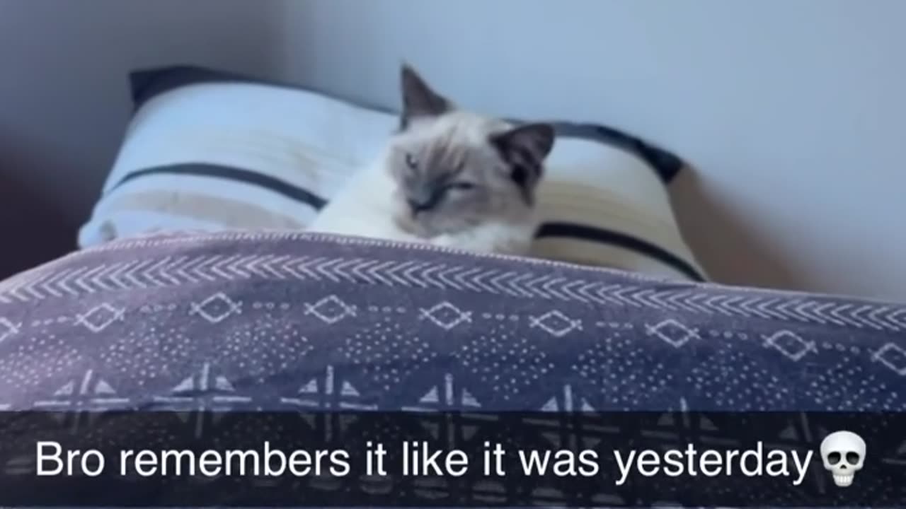 😂🔥 Bros Have Been Through It All! Hilarious Moments | FunFM