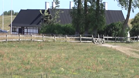 Hagestad naturreservat 29 Aug. 2025