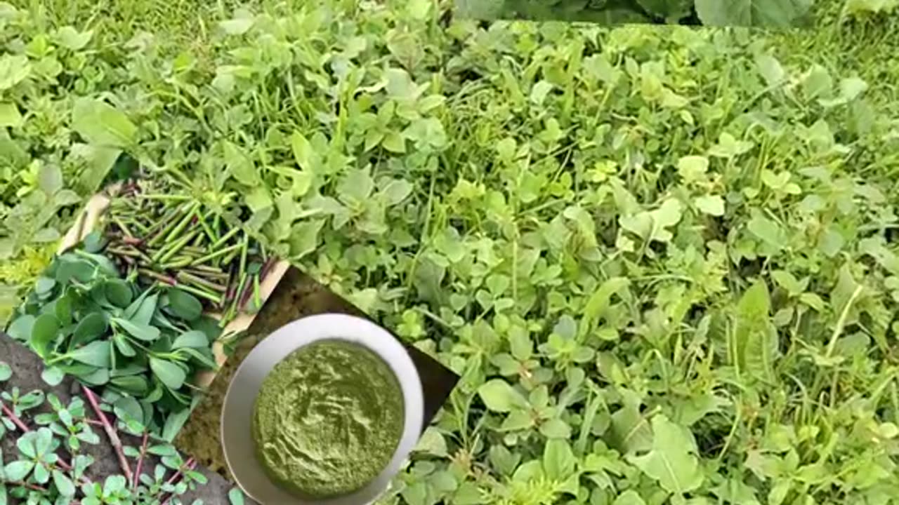 ማዲያት ችግር ላለባችሁ መፍትሔ #ዮሐንስ ሽፈራው#ደሸት