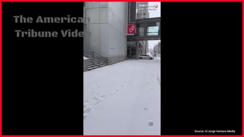 Calls Grow for Another Hotel Chain to Be Boycotted after It Refuses to Serve ICE Agents