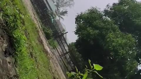 🪖🌿 Myanmar War | Taungoo Battalion Seizes Junta Base and Intercepts Reinforcements | RCF