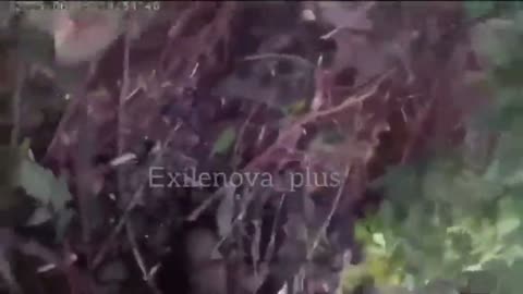 🚁🔥 Ukraine Russia War | Drone Attack Targets Russian Troops on Quad Bike | RCF