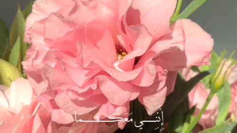 🔥Surah Ṭā Hā 20:46🕋🫶سورہ طه #love #quran #viral #shorts #trending #shortvideo #viralvideo #foryou