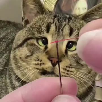 Threading a needle.. 😂