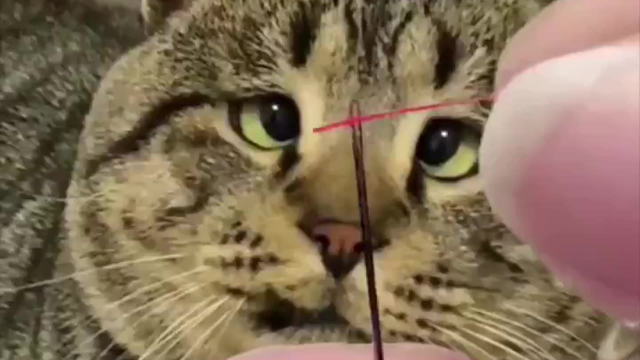 Threading a needle.. 😂