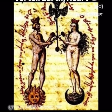 Flat Earth Dog amazing what we really are