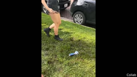THE BEST OF THE INTERNET
