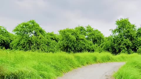 Goth Bethak ❣ Sangat Sukoon iPhone #maxrecords #villagelife #larkana #sindh #vlog