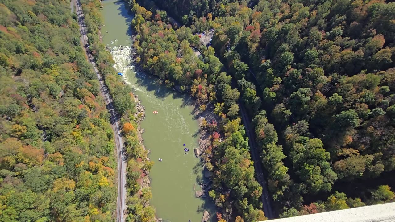 ✨🌉 Pay Extra on WV Bridge Day & BASE Jump 876+ Feet! | FeedMyCuriosity