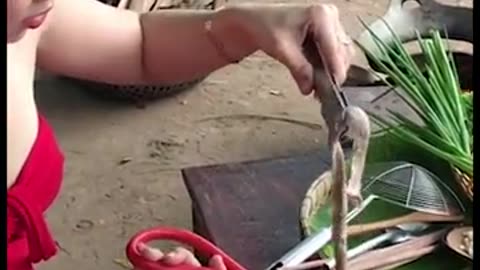 cook squid eel jos
