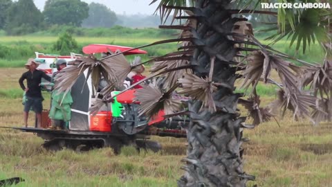Hard movement of harvesting