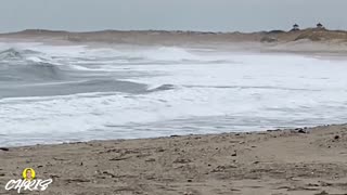 STORMY BEACH WAVES!