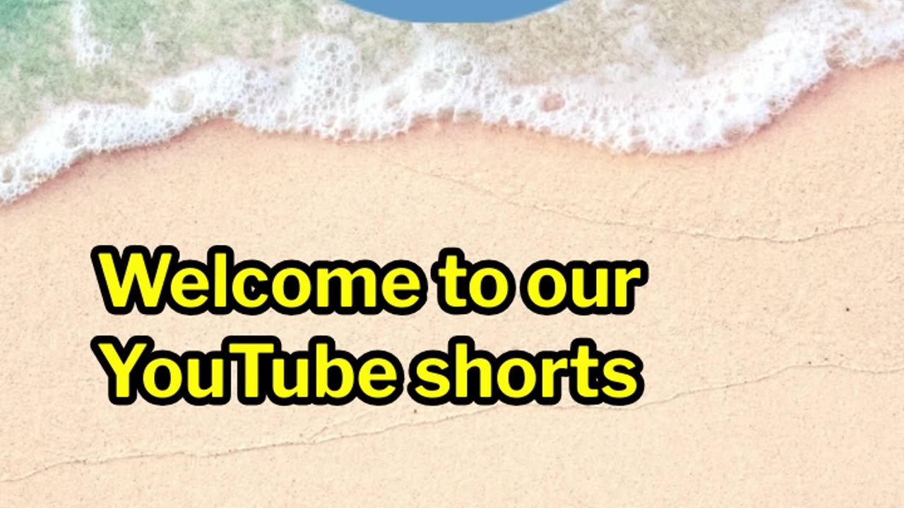 What is the Total Shareholder Return (TSR) for a Dividend Stock?