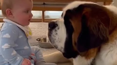 Cute Baby Playing With Animals | Adorable Baby & Pets Moments | Funny Animal Reactions”