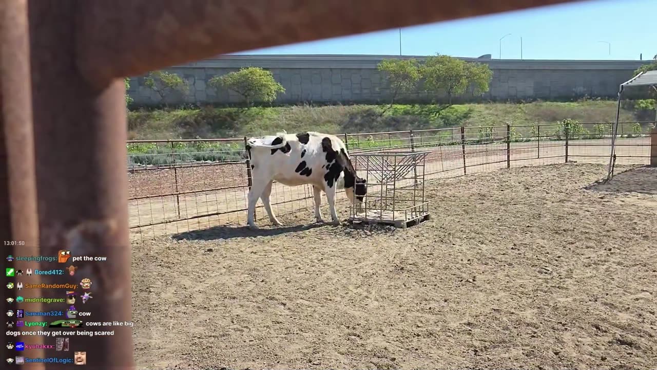 [10/24/25] Adventures with @hachubby continue! ⧹(^-^)⧸