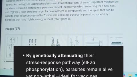 Mutant Parasites for Use as Vaccines and Platforms for Screening for Compounds