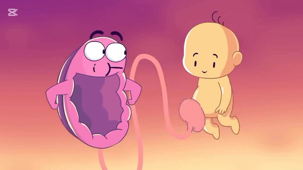 Baby and placenta