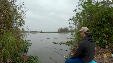 Mastering the Art of Carp Fishing in Tranquil Lakes