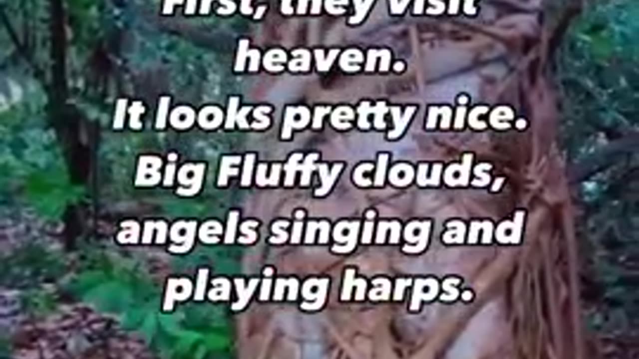 Have you heard the one about the politician that died?