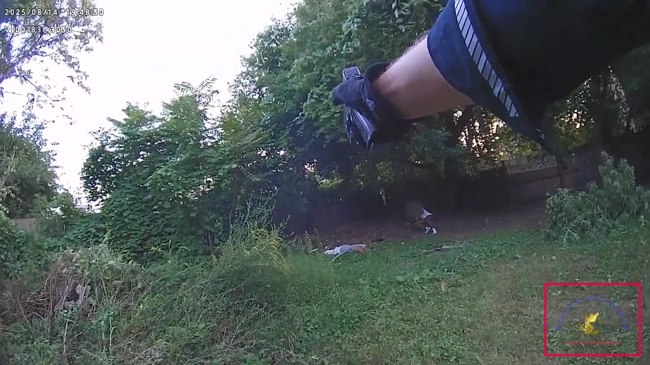 Rochester Police Stop Armed Suspect in Backyard Altercation