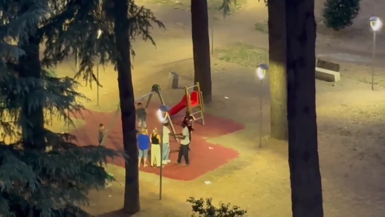 Italian family being harassed by NGGRS in a park.....
