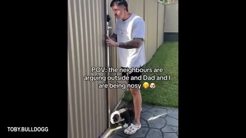 This Dog Deserves a Netflix Special 🎤🐕 | Hilarious Pet Comedy