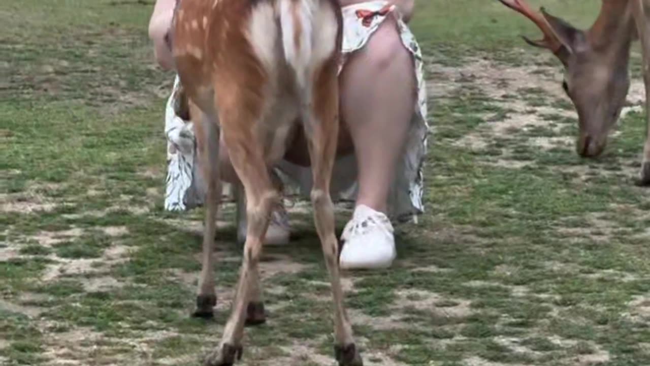 Une jolie femme durable avec des petits gazelles
