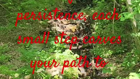 With gentle persistence, each small step carves your path to greatness