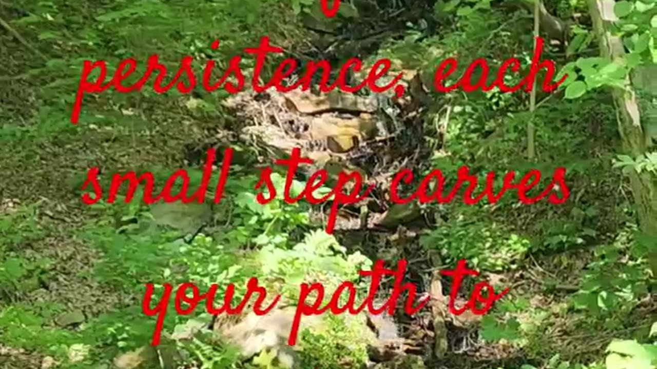 With gentle persistence, each small step carves your path to greatness