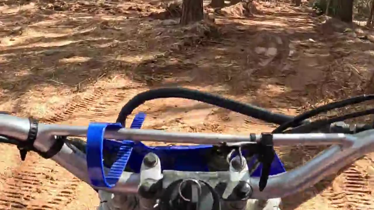 Short - New trail discovered on my TTR 125