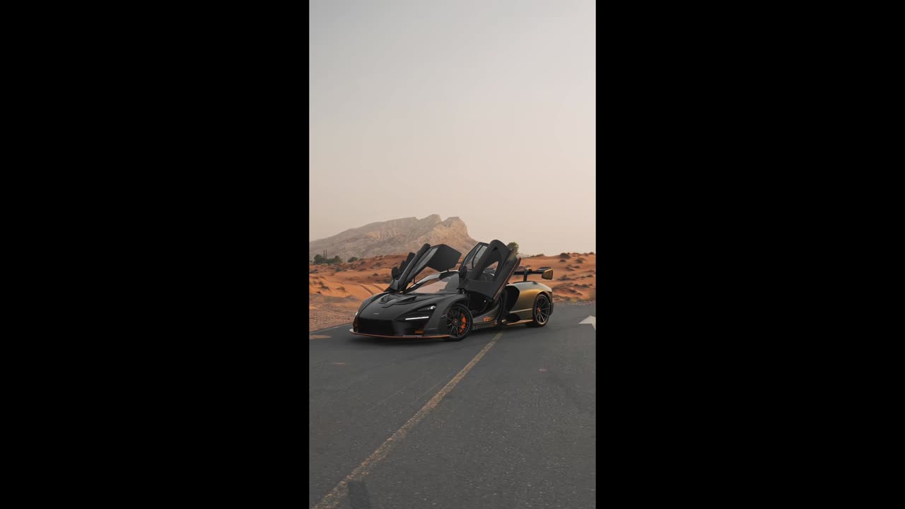 Silent Atlas – a map drawn in echoes.