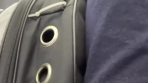 Hostage situation call the authorities 😂