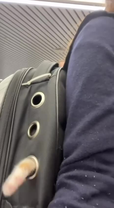 Hostage situation call the authorities 😂