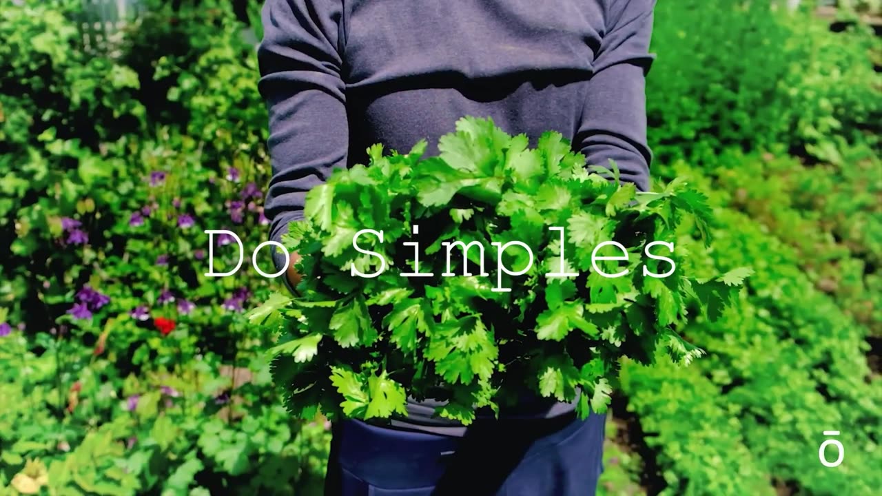 Richie Rich - Liquidated