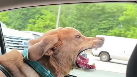 Nothing Like the Feeling of Wind Between Your Teeth