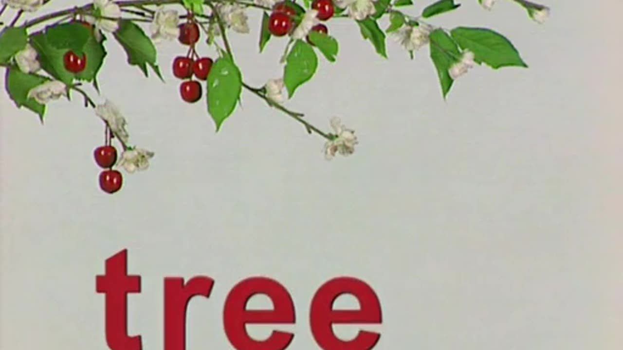 005 Baby Shakespeare