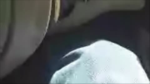 Truman show 2. Sep. 19. 1134