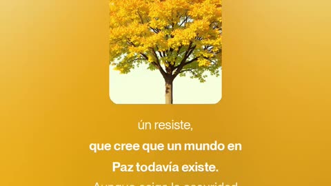 Canto por la Paz-Sunydowey