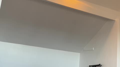 You’re Now Locked Into Timeless !