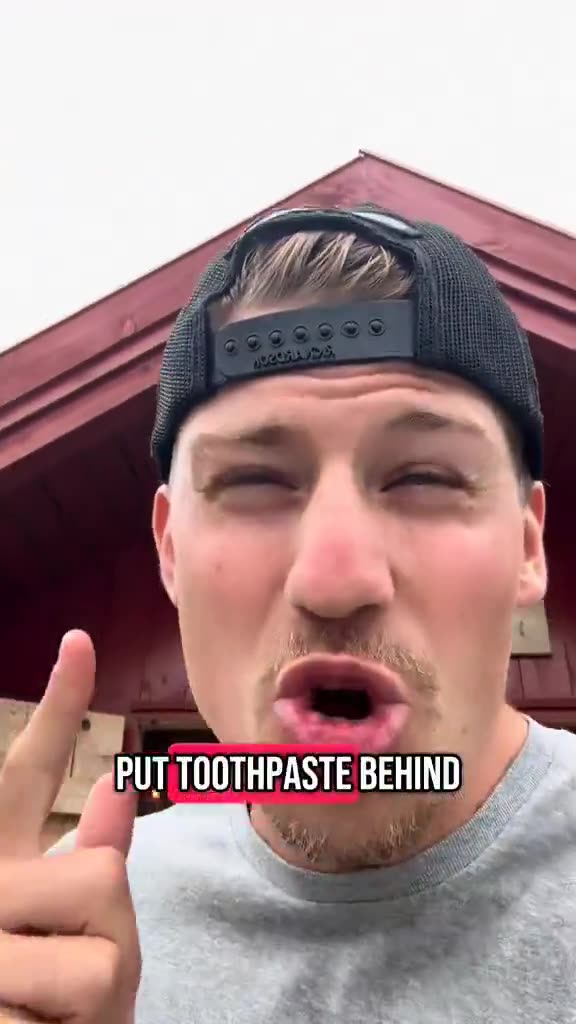 Norway needs diversity