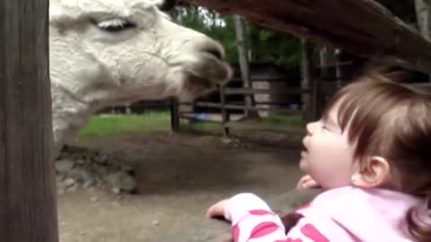 Best Cute Baby Playing With Dogs Compilation 2023 [Funny Pets]