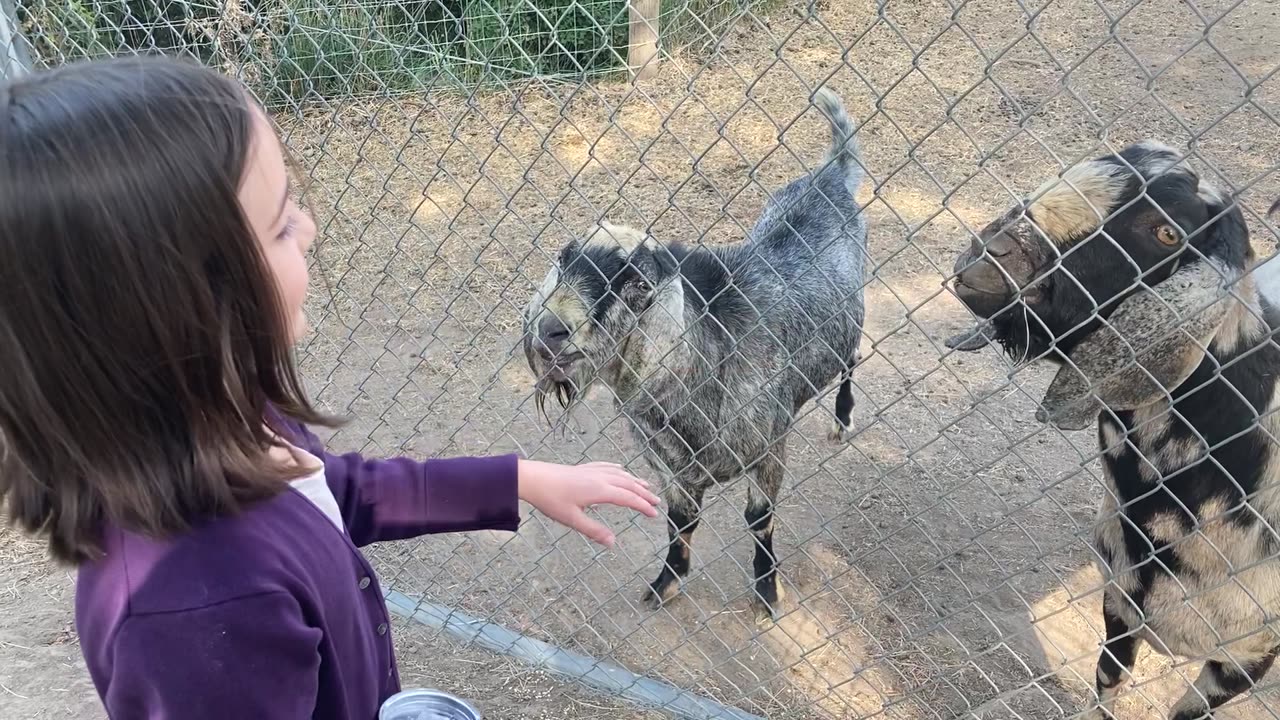 Mia and the Interupter