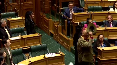 New Zealand committee recommends suspension of Indigenous MPs