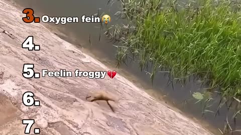 Family Funny Video