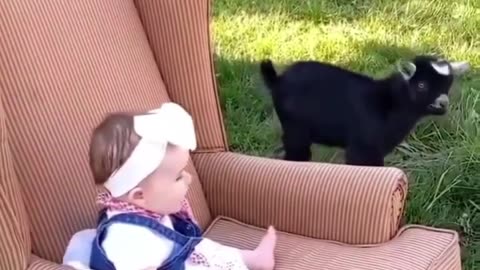 Fun for kids to play with animals