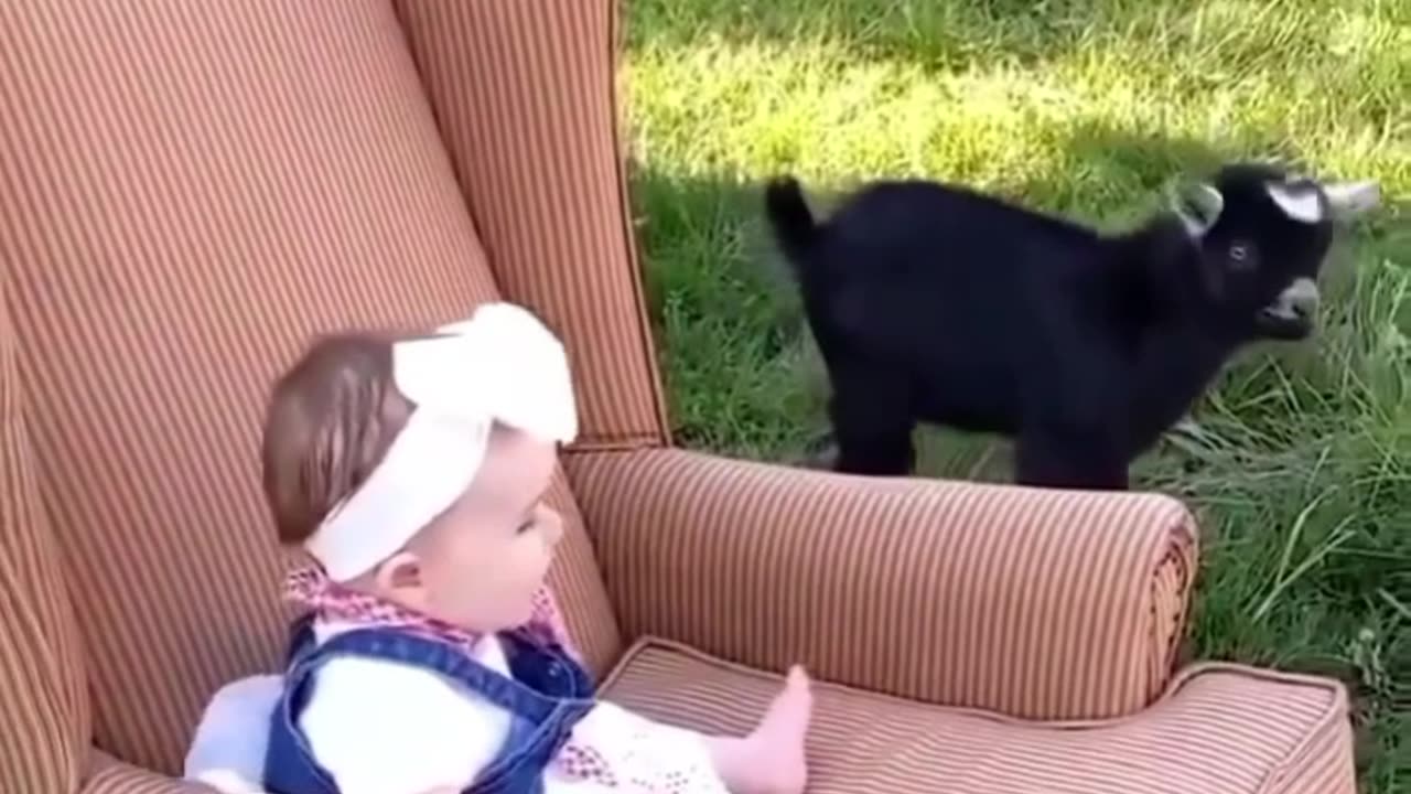 Fun for kids to play with animals