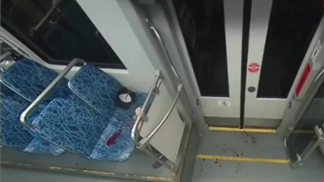 Iryna Zarutska killed by a nigger
