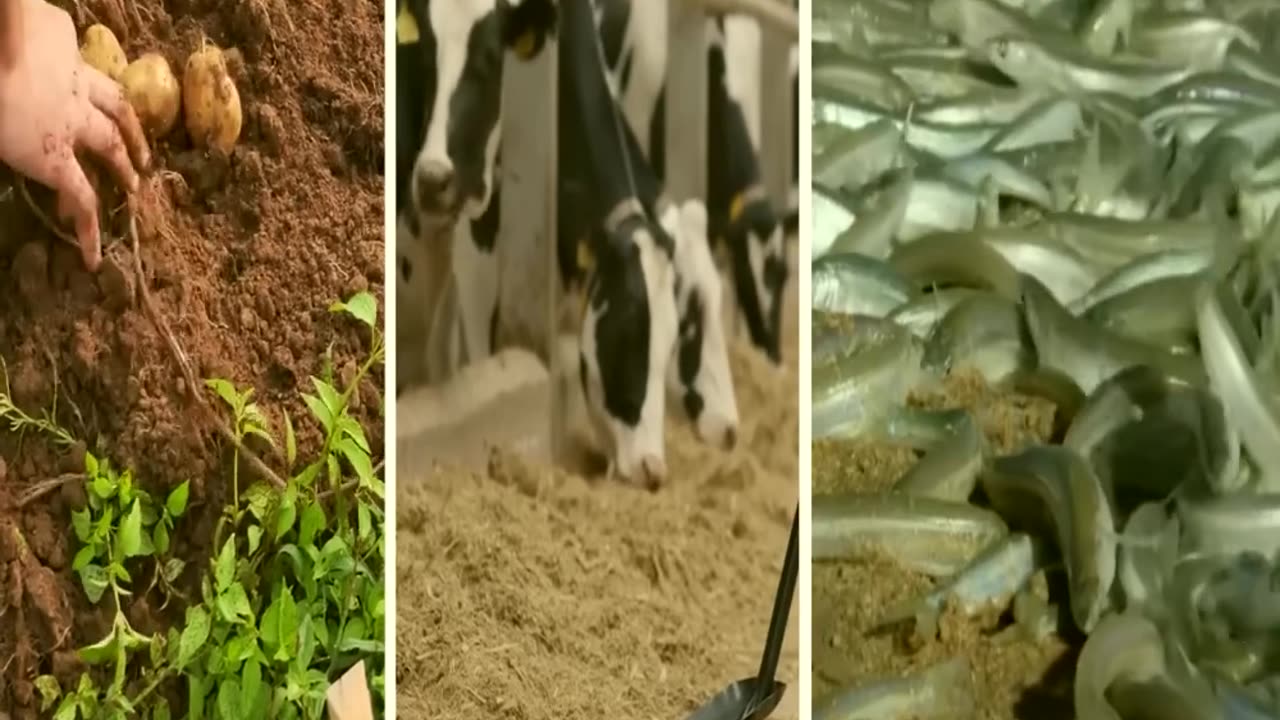 Saudi Arabia Just SHOCKED American Scientists With This