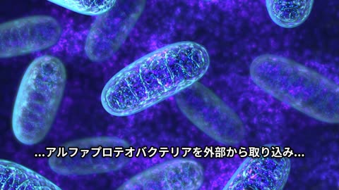 ミトコンドリア誕生の秘密を一瞬で解説！