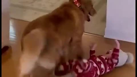 Woe Day 115. I am in the ark. Waiting for GOD to open the Door for a spring/summer Pentecost rapture